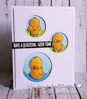 Duck, Card Making, DIY, Stamp Set. 