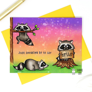 Sneaky Raccoons by Jeannie